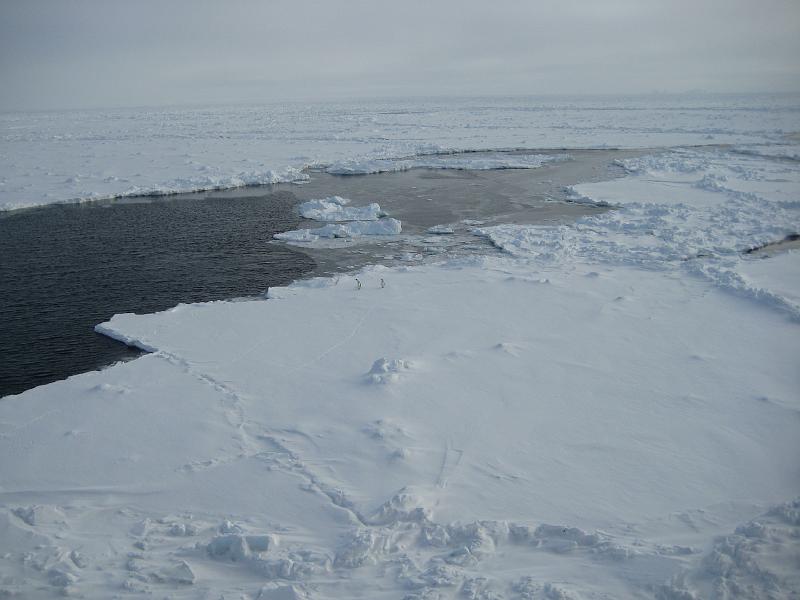 Ice Conditions 2 168.jpg